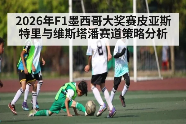2026年F1墨西哥大奖赛皮亚斯特里与维斯塔潘赛道策略分析